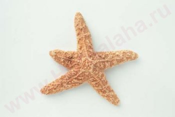 Ямайка отдых