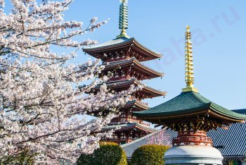 Япония фото, Япония фотографии