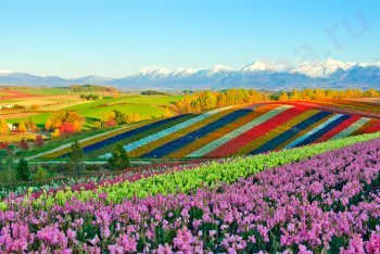 Хоккайдо, Япония, путешествие в Японию, путешествие Япония