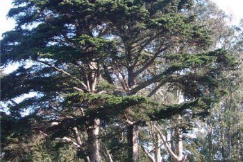 Малайзия, путёвки в Малайзию