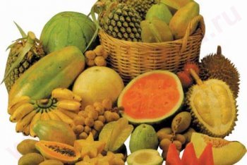 Малайзия, туры в Малайзию