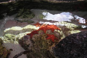 Канкун фотографии (Мексика)