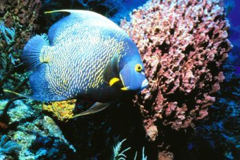 фото Канкун, фотографии Канкун (Мексика)