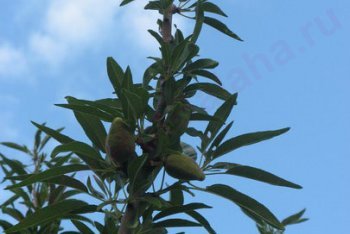 туризм Черногория