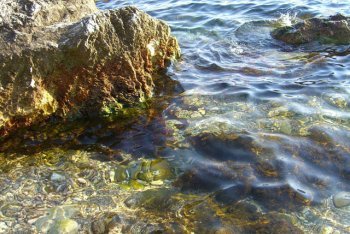 Черногория, отдых в Черногории