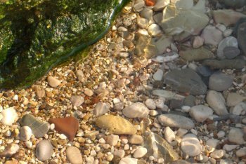 Бар отпуск (Черногория)