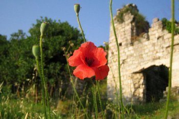 Бар фотографии (Черногория)