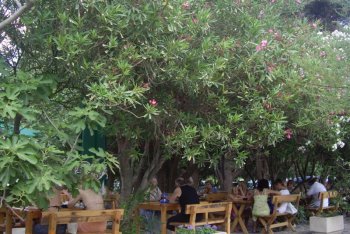 Петровац туры (Черногория)