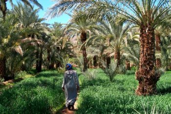 фотографии Марокко