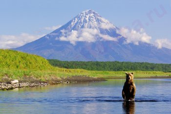 Камчатка, Россия туры, Россия путёвки