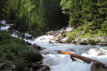 туризм Домбай