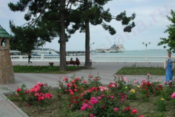 отпуск в Геленджике