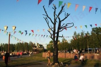 Петрозаводск, дерево желаний на набережной