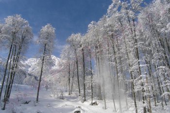 поездка в Красную поляну