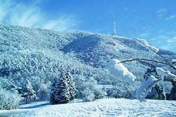 Пятигорск путёвки