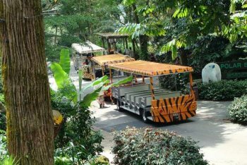 путёвки в Сингапур