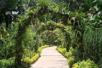 остров Сентоза туры (Сингапур)