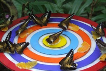 остров Сентоза путёвки (Сингапур)