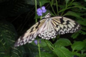 Сентоза туры, Сентоза отдых (Сингапур)