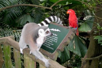 фотографии Сентозы (Сингапур)