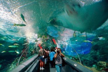 Сентоза туры (Сингапур)