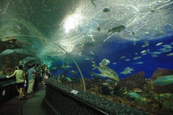 Сентоза путёвки (Сингапур)