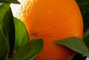 Испания, отдых в Испании