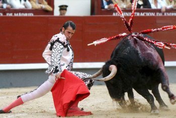 Испания, знаменитая испанская Коррида