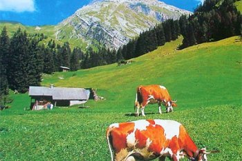 Швейцария, туры в Швейцарию