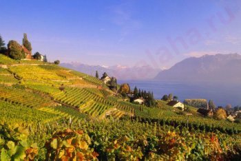 Швейцария, путешествие в Швейцарию