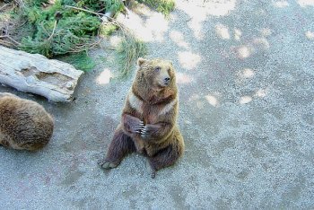 Берн путешествие (Швейцария)