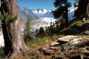 Женева отпуск (Швейцария)