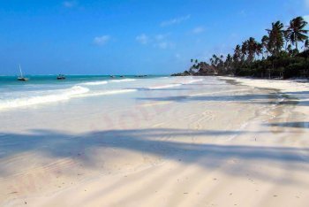 путёвки в Танзанию