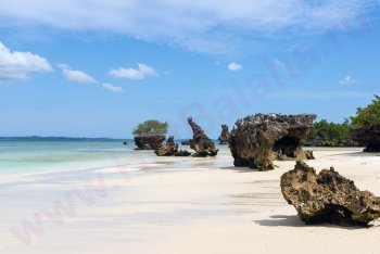 путешествие в Танзанию, туризм Танзания