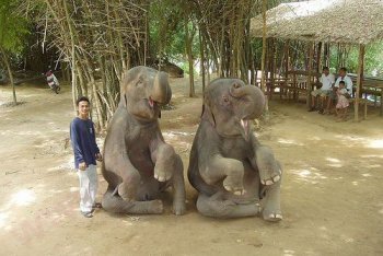 фото Таиланда