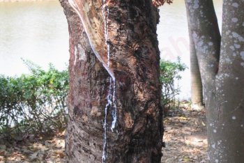 Таиланд, фото Таиланда