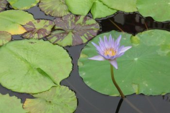 отпуск в Таиланде