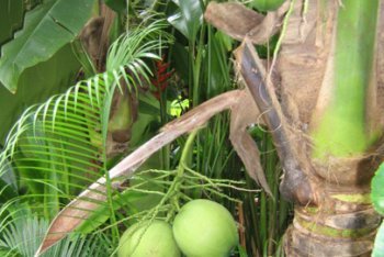 Таиланд, путёвки в Таиланд