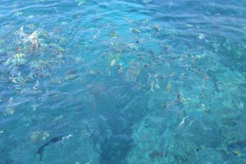 Бангкок отдых, Бангкок путёвки (Таиланд)