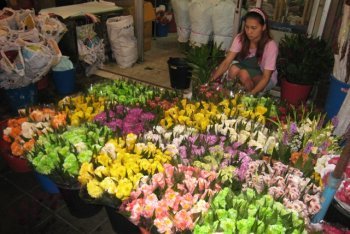 Бангкок отпуск (Таиланд)