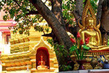 Золотой Треугольник путёвки (Таиланд)