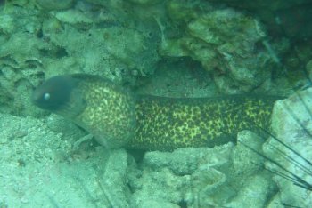 отпуск Ко-Чанг (Таиланд)