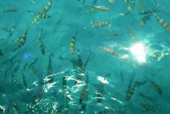 Ко-Чанг, туры на Ко-Чанг