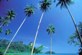 Краби фотографии (Таиланд)