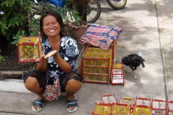 Паттайя отпуск (Таиланд)