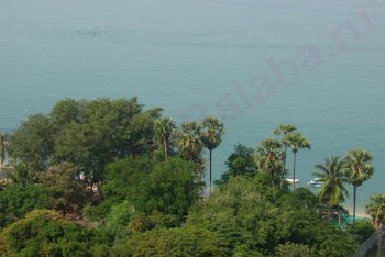 Паттайя, вид на залив