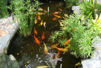 фото Паттайя (Таиланд)