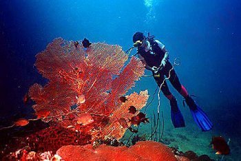 Пхи-Пхи фото (Таиланд)