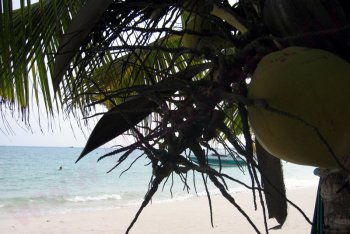 фотографии Самет (Таиланд)