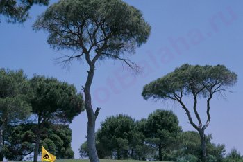 Белек отдых (Турция)